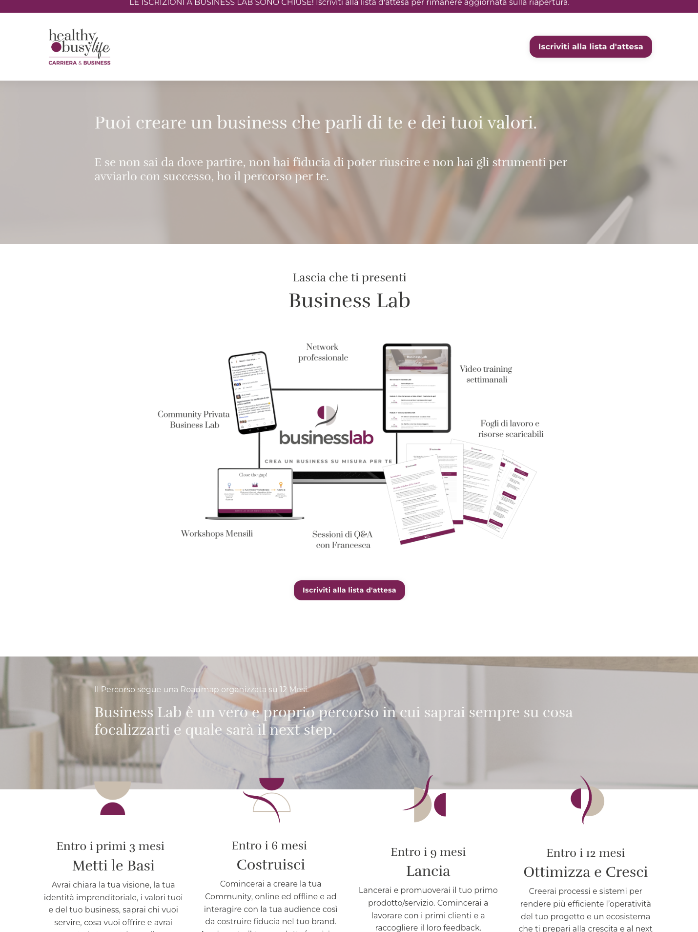 Business Lab — product breakdown with roadmap over 12 months.